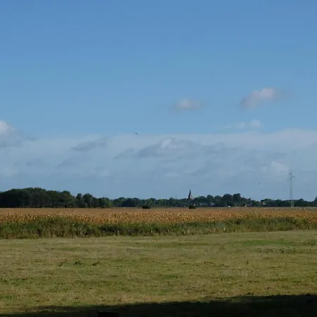 Frau * ガルディング